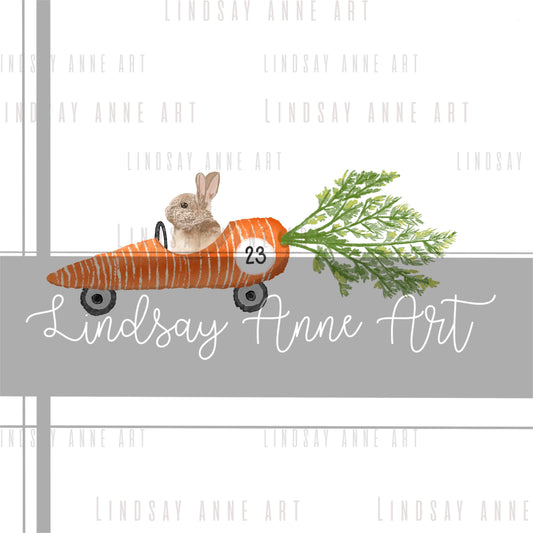 Bunny Racer - PNG